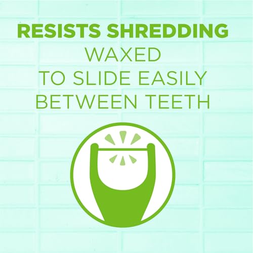 GUM Angled Floss Picks, Perfect for Tight Teeth, Extra Strong Shred-Resistant Dental Floss, Angled for Easy Reach, Dental Flossers for Adults, Fresh Mint Flavor, 75ct (4pk)