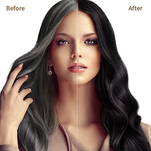 Black Hair Dye Shampoo for Gray Hair, Semi-Permanent Hair Color Shampoo for Women and Men, Herbal and No Ammonia, 3 in 1-100% Grey Coverage(16.9 Fl oz)