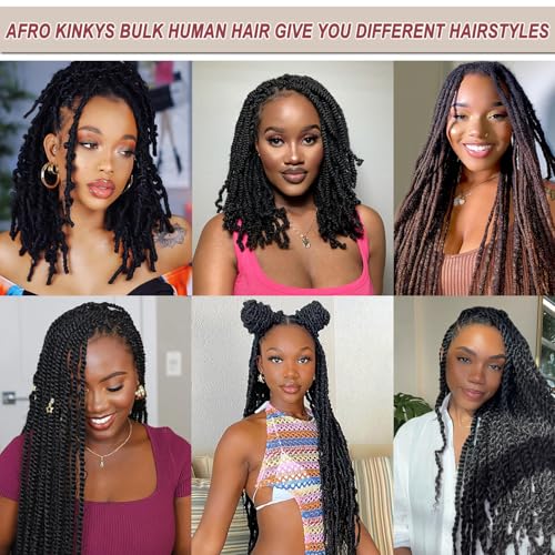 16 Inch Afro Kinkys Bulk Human Hair (100 Gram/Pack), Braiding Hair for Dreadlocks, Loc Repair, Twists, Dreadlock Extensions
