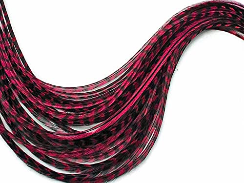 10 Pieces – Claret Grizzly Thin Long Whiting Farm Rooster Hair Extension Feathers Fly Tying Summer | Moonlight Feather