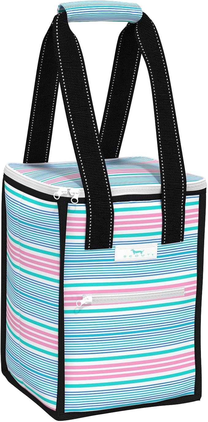 SCOUT Pleasure Chest - Soft, Lightweight, Insulated Cooler, Fits 5 Wine Bottles, Cooler for Beach, Pool, Boat, and Picnics