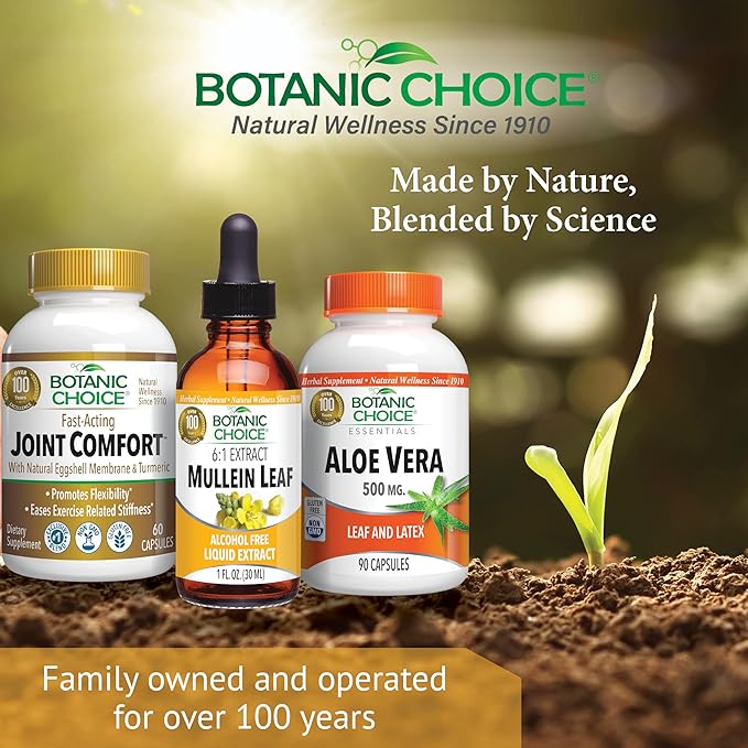 Botanic Choice Mullein Leaf Liquid Extract, Alcohol Free, Gluten Free, Traditional Respiratory Support 1 Fl. Oz.