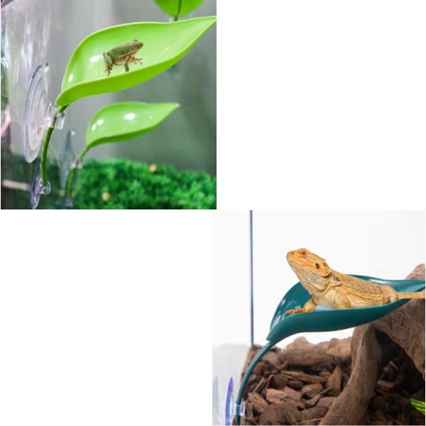 3 Pack Leaf Decorations with Suction Cups, Frog Habitat Platform, Reptile Decorations for Terrarium, Frog Tank Accessories, Terrarium Decor for Tree Frog, African Dwarf Frog, Frog and Toad