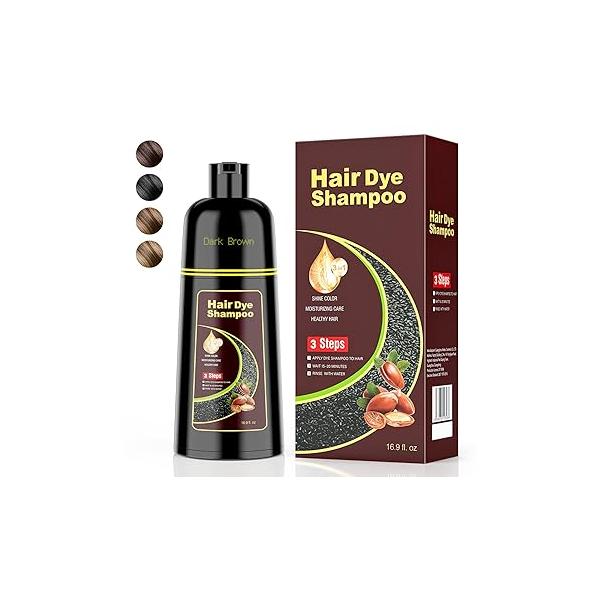 Black Hair Dye Shampoo 3 in 1,Argan Natural Herbal Color Covers Gray for Women and Men (16.9 fl.oz Black)