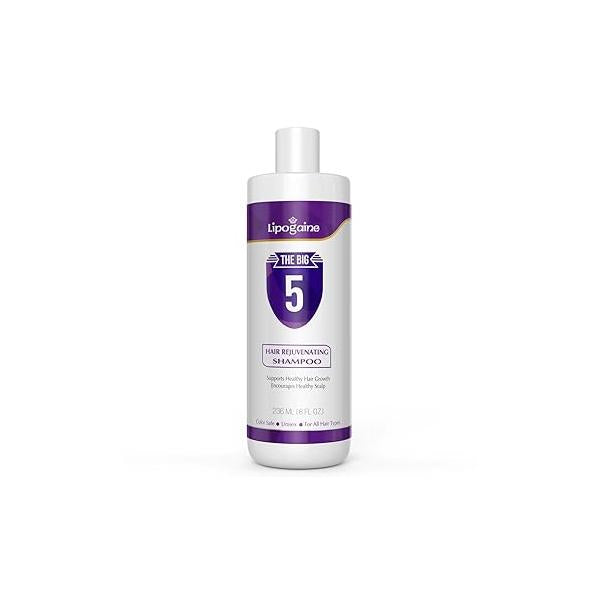 Big 5 Hair Stimulating Shampoo for Thinning & Breakage, All Types, Men and Women, Infused With Biotin, Caffeine, Argan Oil, Castor oil Saw Palmetto (Purple)