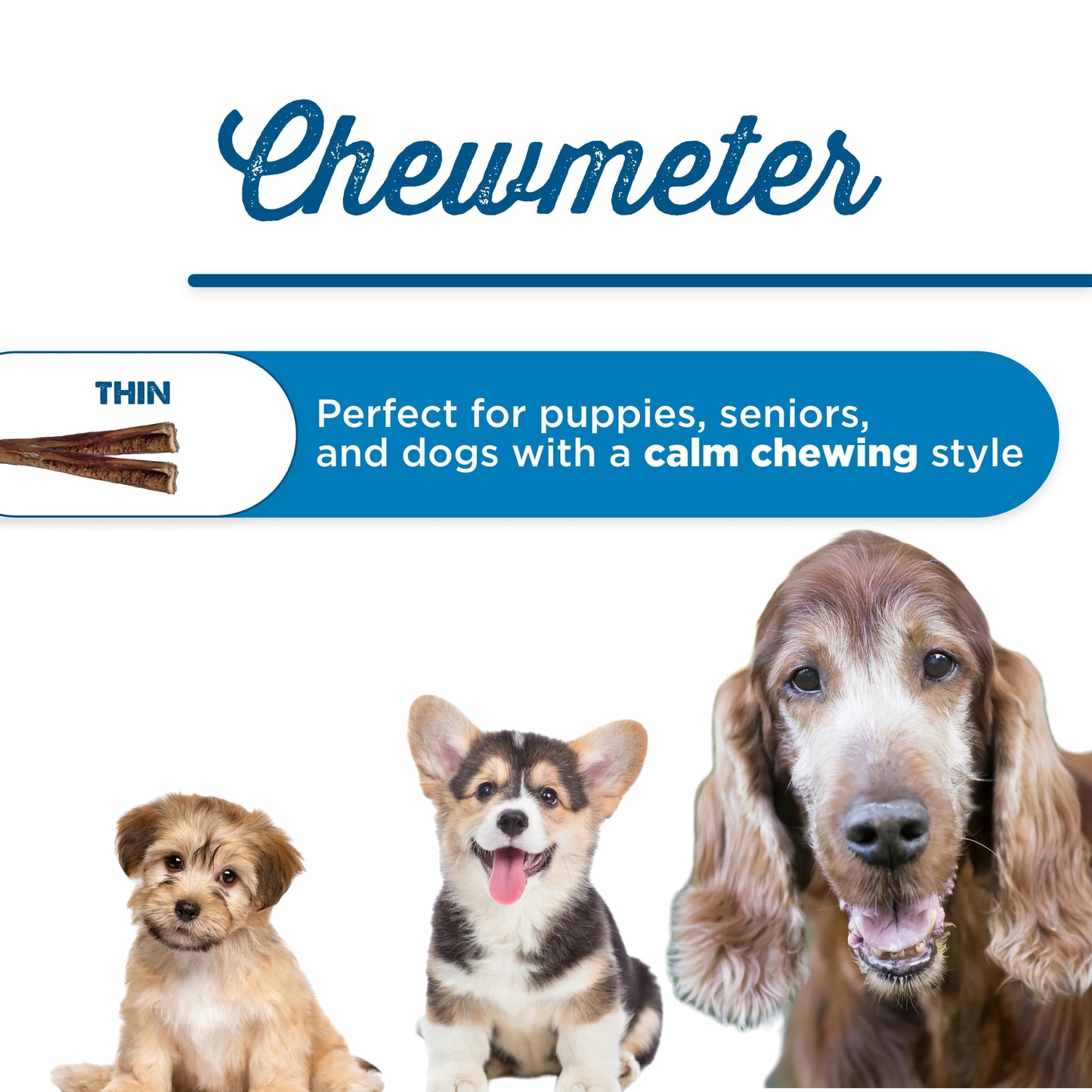 Best Bully Stick 12 Inch Thin Bully Sticks for Dogs 16 Count Natural Grass-Fed Beef, No Rawhide, Grain and Odor Free Chew Treat - Small, Medium, Large Breeds, Puppies