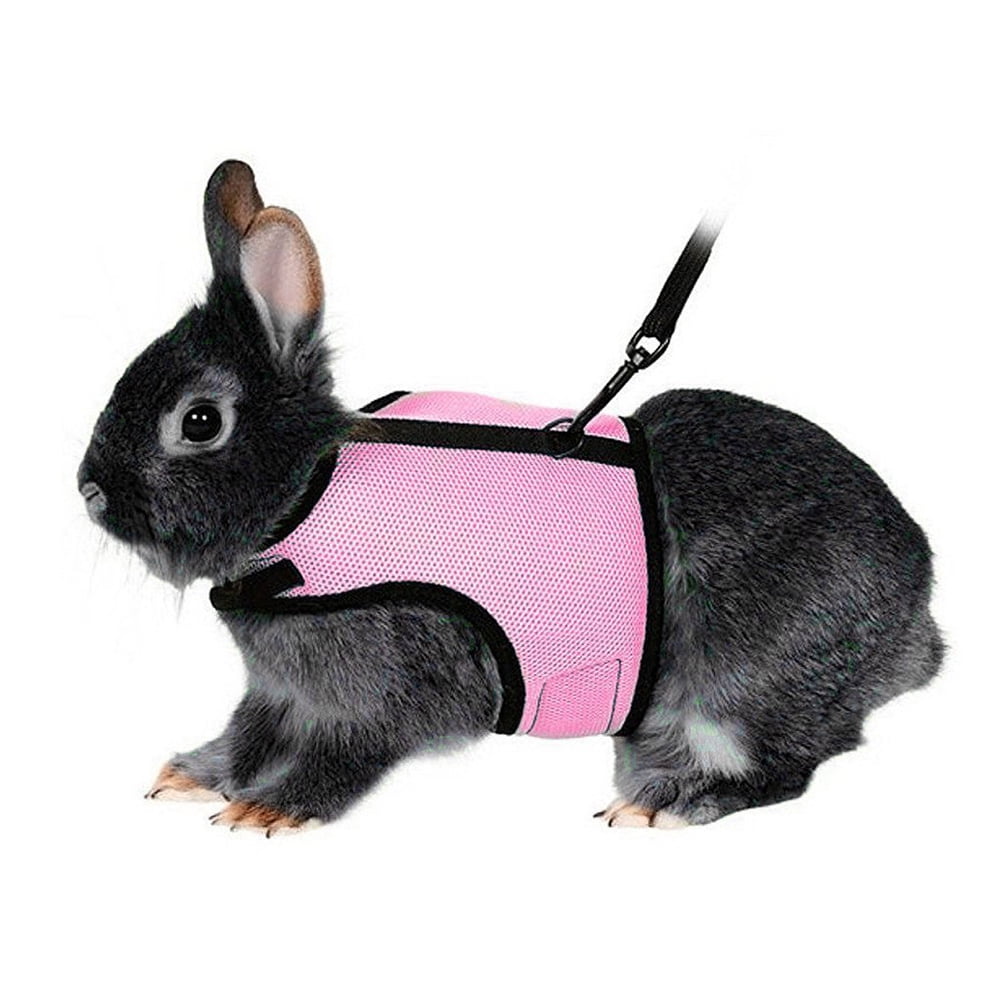 2pcs Harness with Lead for Rabbits Bunny Little Pets - Size XL(Pink)