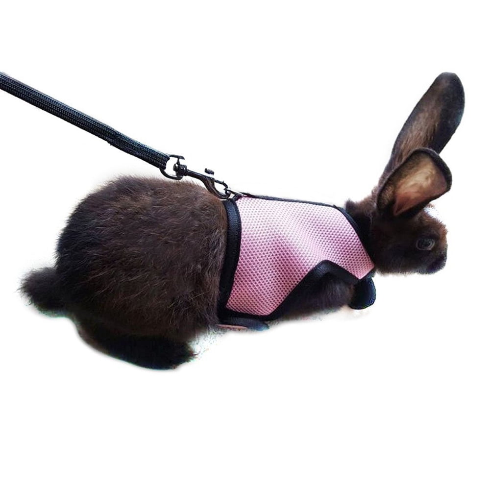 2pcs Harness with Lead for Rabbits Bunny Little Pets - Size XL(Pink)