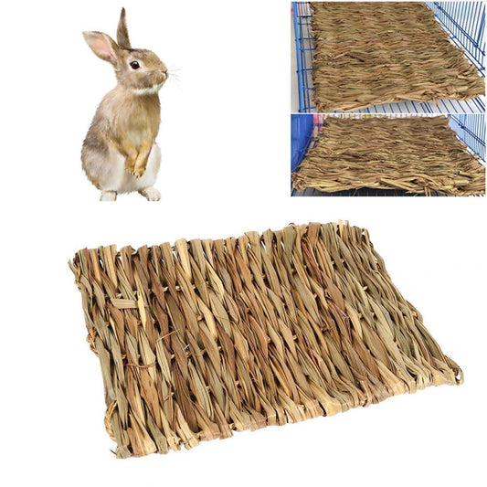 2pcs Pet Mat Grass Mats Safe Edible Mats Cages Chew Toys for Pets Size 40x28CM