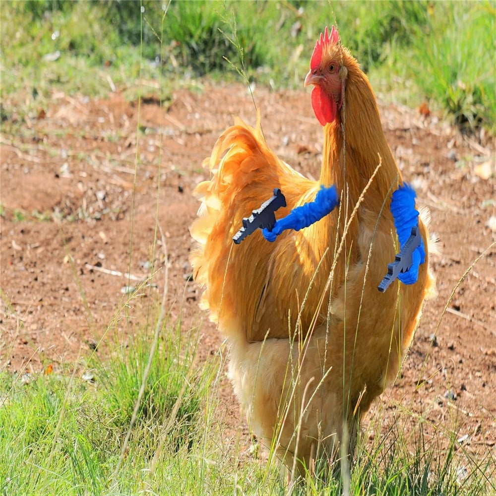 3D Printed Poultry Arm Accessories –Chicken arms to Put on Chickens, Roosters & Farm Pranks! Hilarious Coop Decor, Neck-Mounted Toy Gifts(Blue, 1)
