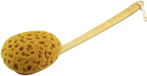 18'' Shower Body Brush Sea Sponge Long Wooden Handle Back Scrubber Bath Brush Gentle Exfoliating Lotion Applicator