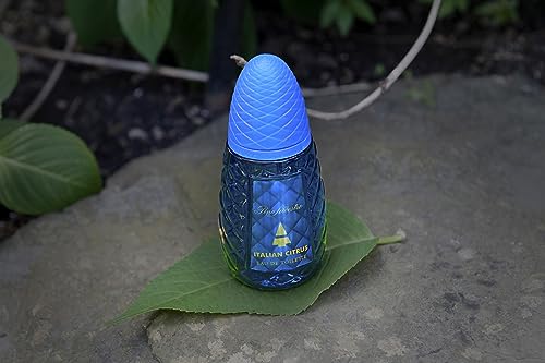 Italian Citrus by Pino Silvestre - Perfume for Men - Woody, Aromatic Scent - Blended with Lemon, Pine, Apple, Patchouli, and Musk - for Calm, Collective Gentlemen - 4.2 oz EDT Spray