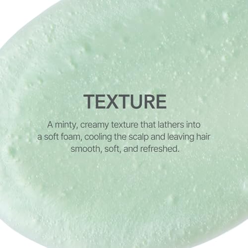 107 SCALP COOLING Breeze Shampoo - Soothing & Refreshing scalp cooling shampoo with 3-Year Aged Fermented Mugwort Vinegar – Scalp Care, Sebum Control (12.84 oz)