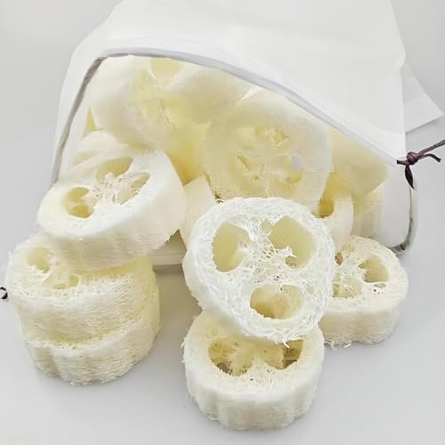 22PCS Natural Loofah Slices, Reusable Natural Loofah Cuts for Cleaner Sponge Scrubber, Facial Soap Holder and DIY Customize Soap Tools with 1 Storage Bag (Diameter 3.15In, Thick 1In)