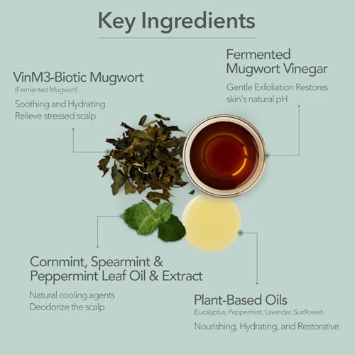 107 SCALP COOLING Breeze Shampoo - Soothing & Refreshing scalp cooling shampoo with 3-Year Aged Fermented Mugwort Vinegar – Scalp Care, Sebum Control (12.84 oz)