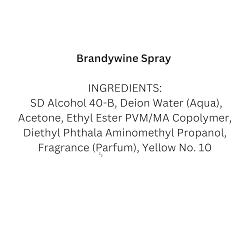 Brandywine Non-Aerosol Wig Spray for Synthetic and Natural Hair Wigs (1 Pack)
