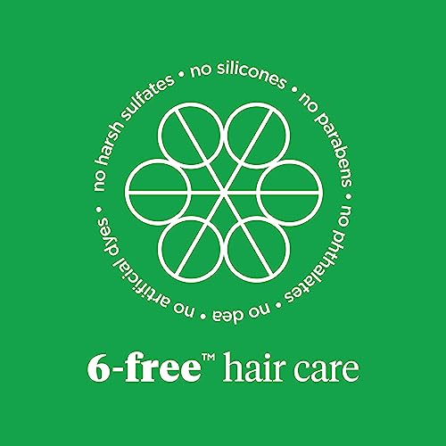 Briogeo Superfoods Avocado + Kiwi Mega Moisture Mask, Protein-Free, Deep Hydration, Enhance Shine, Moisturizing Mask for Dry Hair, Lock In Moisture, Vegan, Cruelty-Free