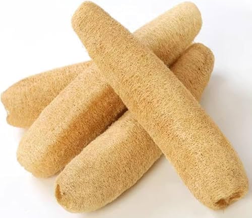 100% Natural Whole Loofah Large, 4-Pack, Organic Sponges, Gentle Exfoliating Body Scrubber, Dish and Shower Luffa, Bath SPA Loofa, 12-14 Inches Long, 30-35cm, Radiant Beauty Skin, Big Sized Whole.