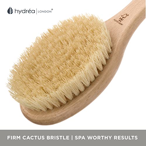 Hydrea London Dry Body Brush Long Handled Exfoliating Skin Brush with Vegan Cactus Bristle, Dry Brush Cellulite Remover, Exfoliating Body Scrubber, Improve Lymphatic Drainage FSC® Certified Beechwood.