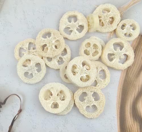 25Pcs Natural Loofah Slices of 2In, Reusable Natural Loofah Cuts for Cleaner Sponge Scrubber, Facial Soap Holder and DIY Customize Soap Tools for Wholesome Skin Care and Exfoliation with 1 Storage Bag
