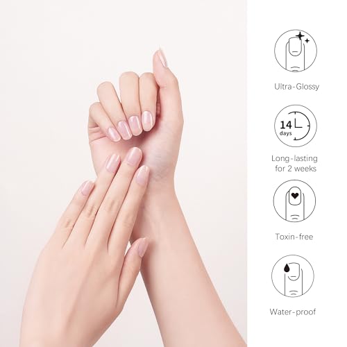 DANNI & TONI Semi Cured Gel Nail Strips Transparent Crystal Clear Nail Stickers Sheer Gel Polish Strips 28 Stickers Ultra-glossy, Long-lasting, Waterproof