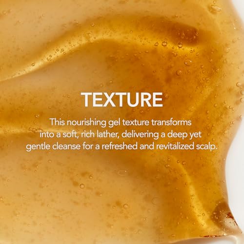 107 Clarifying Shampoo - Purifying Shampoo for Build Up, Dirt, Oil, Itchy, Dry Scalp – Fermented Vinegar & Ginseng for Refreshed & Revitalized Scalp - Paraben, Phthalate and Sulfate Free (16.9 oz)