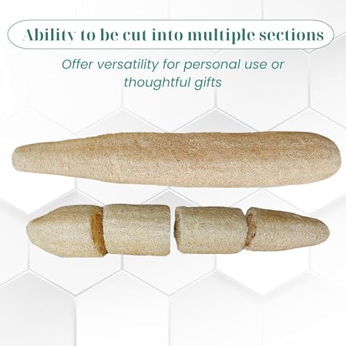 5 Pcs (7 – 10 Inches) Shower Loofah Exfoliating Body Scrubber | Natural Loofah Sponge | Bath for Loofah for Men and Women | Pack of 5