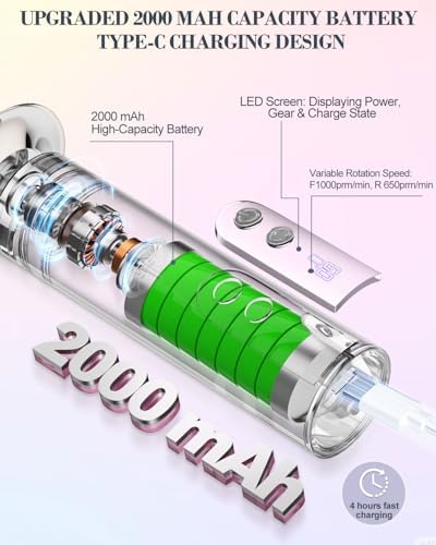 2 in 1 Electric Foot Callus Remover, 9 Speed Adjustable Foot Sander with LED Display, Electric Foot Grinder with 2000 mAh Rechargeable Battery, for Callus Removal, Replaceable Sandpaper Discs (Black)