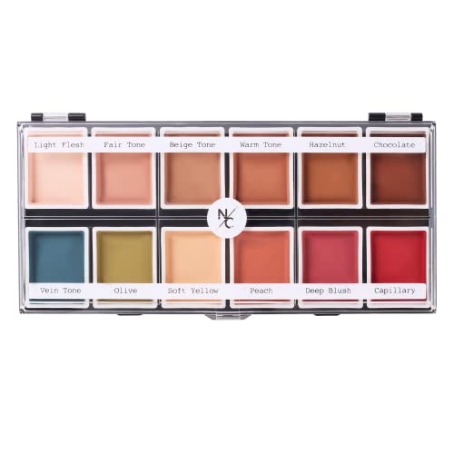 12-Color Flesh Tone Alcohol-Activated Palette, Tattoo Cover, Highly Pigmented Professional SFX Makeup for Film, Theatre, TV