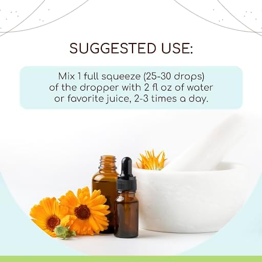 Blue Vervain B60 Alcohol-Free Herbal Extract Tincture, Concentrated Liquid Drops Natural USDA Organic Blue Vervain (Verbena Hastata) (2 fl oz)