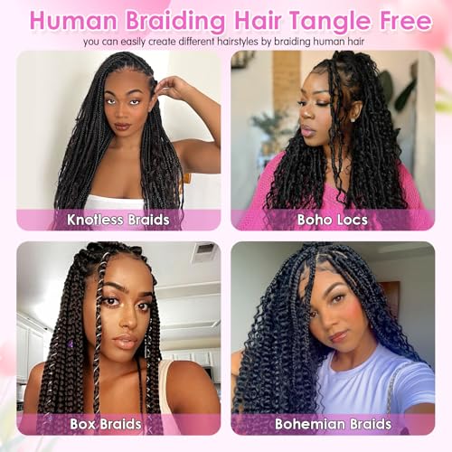 Human Braiding Hair for Boho Braids 110g 2 Bundles/Pack Deep Wave 12A Curly Brazilian Virgin Hair Extensions No Weft Knotless Bulk (1B-Black Deep-Wave, 20 Inch-110g)