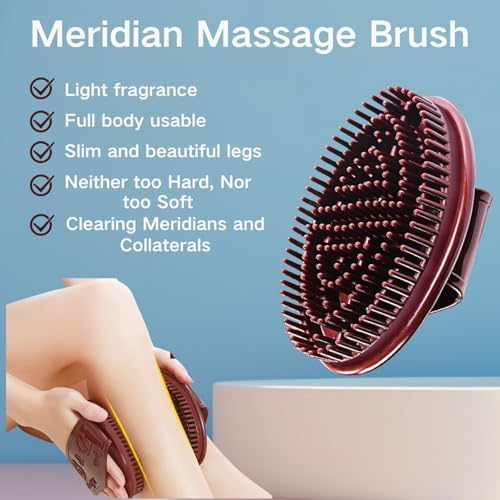2Pcs Meridian Massage Brush, Full Body SPA Relaxation Massager Brush, Acupressure Meridian, Scalp Massage, Full Body Relaxation Comb,Beauty Salon Professional MeridianBrush