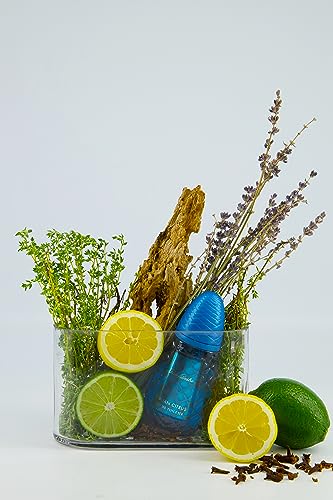 Italian Citrus by Pino Silvestre - Perfume for Men - Woody, Aromatic Scent - Blended with Lemon, Pine, Apple, Patchouli, and Musk - for Calm, Collective Gentlemen - 4.2 oz EDT Spray