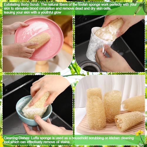 15.7-19.7 inches Natural Loofah Sponges Pack of 4 for Kitchen Dishes Body Scrubber