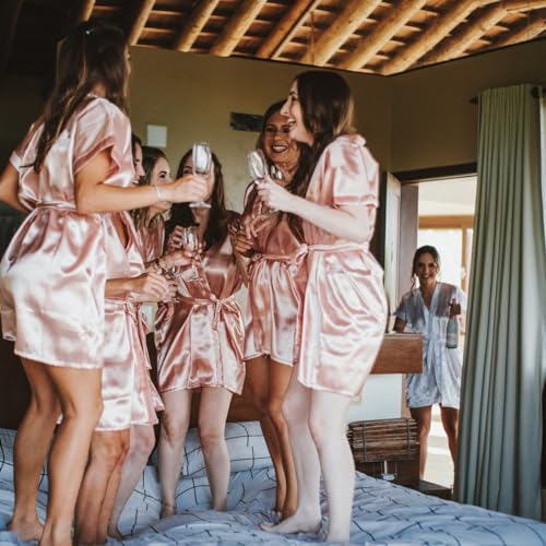 Bridesmaid Proposal Gifts 8 Pieces Mini Dry and Wet Travel Detangling Brush, Bachelorette Party Accessories, Dusty Blue