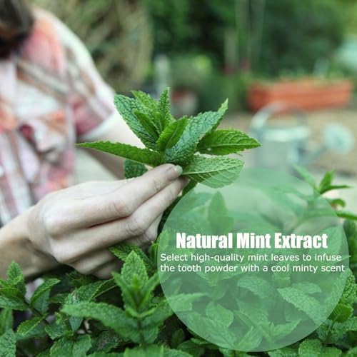 2025 New Teeth Restoration Mineral Powder Purple Natural Mineral Tooth Powder for Teeth Whitening Tooth Strengthening & Gum Care Fresh Breath