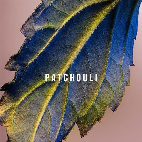 Guerlain Eau de Parfum-Mitsouko - 2.5 oz