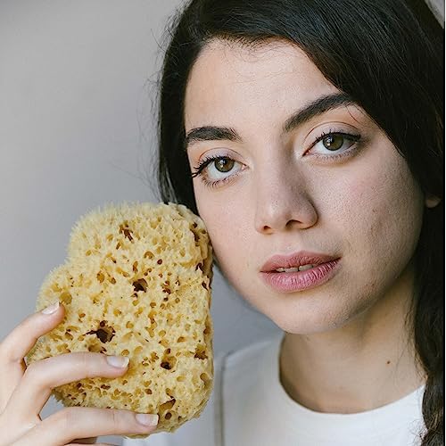 HartFelt Delicate Skin Wool Sea Sponge 4 in | Real Natural Sponges for Body and Face Gentle Care | Luxurious Lather