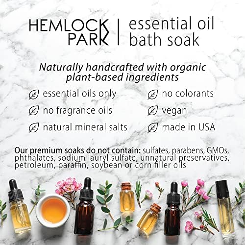 Hemlock Park Detox Essential Oil Bath Soak | Naturally Soothing Mineral Sea Salt and Botanicals | 10.5 oz Jar | Eucalyptus & Ginseng