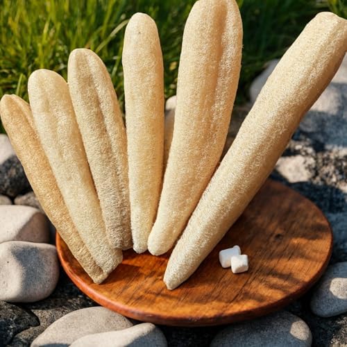 5 Pcs (7 – 10 Inches) Shower Loofah Exfoliating Body Scrubber | Natural Loofah Sponge | Bath for Loofah for Men and Women | Pack of 5