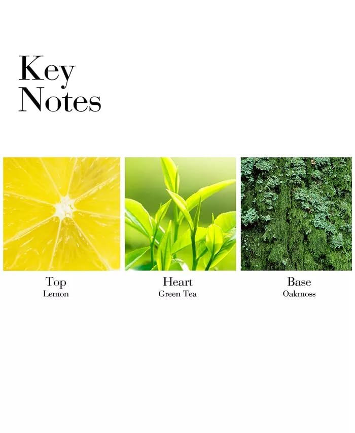 Green Tea Perfume Scent Spray Elizabeth A. Eau Parfume EDP 3.3 OZ. Women