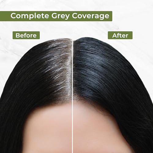 Indus Valley Natural Organic Damage Free Gel Hair Color | Ammonia Free, Vegan & Cruelty Free | Up to 100% Gray Coverage|Black 1.0 (20gram+200ml)