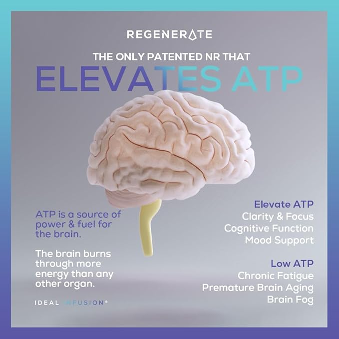 Ideal Infusion Sustained Release Supplement for NAD & NR Biosynthesis, Cardiovascular Health & Muscle Vitality: Boost ATP, NAD+, Glutathione (60 Servings) Vegan