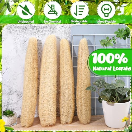 15.7-19.7 inches Natural Loofah Sponges Pack of 4 for Kitchen Dishes Body Scrubber