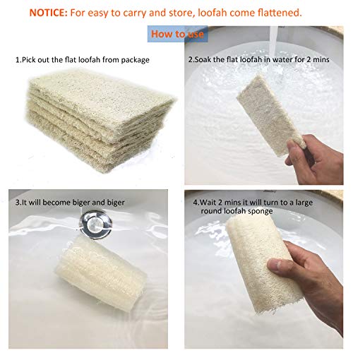 100% Large (5" Length) Nature 6 Pack of Organic Loofahs Loofah Spa Exfoliating Scrubber Natural Luffa Body Wash Sponge Remove Dead Skin Made Soap