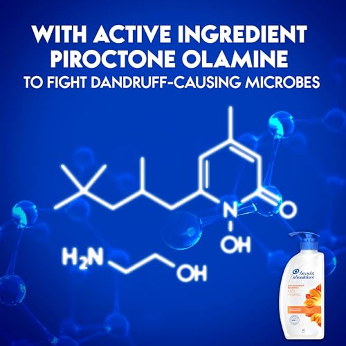 Head & Shoulders Anti Hair fall Shampoo, 2 Pack Anti Dandruff Shampoo, Relieves Dry Scalp and Repairs Damage, Fresh Scent, 22 oz Pump Bottles