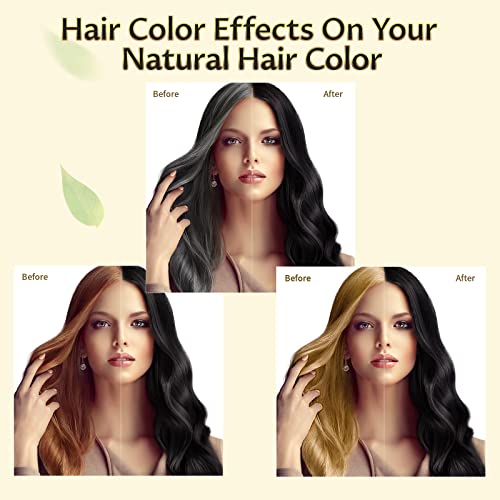 Black Hair Dye Shampoo 3 in 1 for Gray Hair, Hair Color Shampoo for Women and Men, Instant Shampoo Hair dye-100% Grey Hair Coverage (16.9 Fl oz)