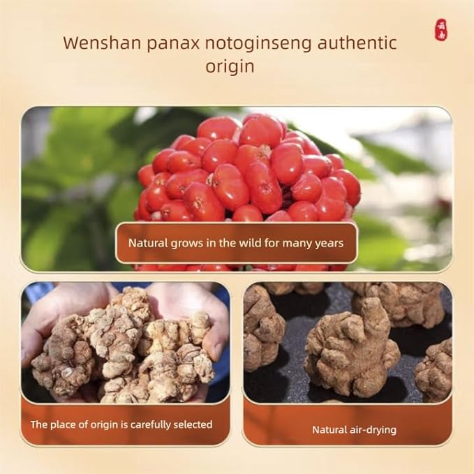 100g (3.5oz) 三七粉100% Pure Tienchi Powder Pseudoginseng Notoginseng Sanqi Powder Tienchi Ginseng Powder 田七粉 1200mesh