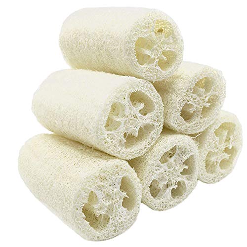 100% Large (5" Length) Nature 6 Pack of Organic Loofahs Loofah Spa Exfoliating Scrubber Natural Luffa Body Wash Sponge Remove Dead Skin Made Soap