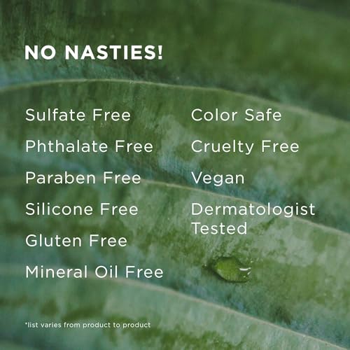 Hairitage Pass on the Brass Purple Shampoo and Conditioner for Color-Treated Hair - Corrects Brassy Tones, Moisturizes Blonde and Gray Hair Ends - 13 oz